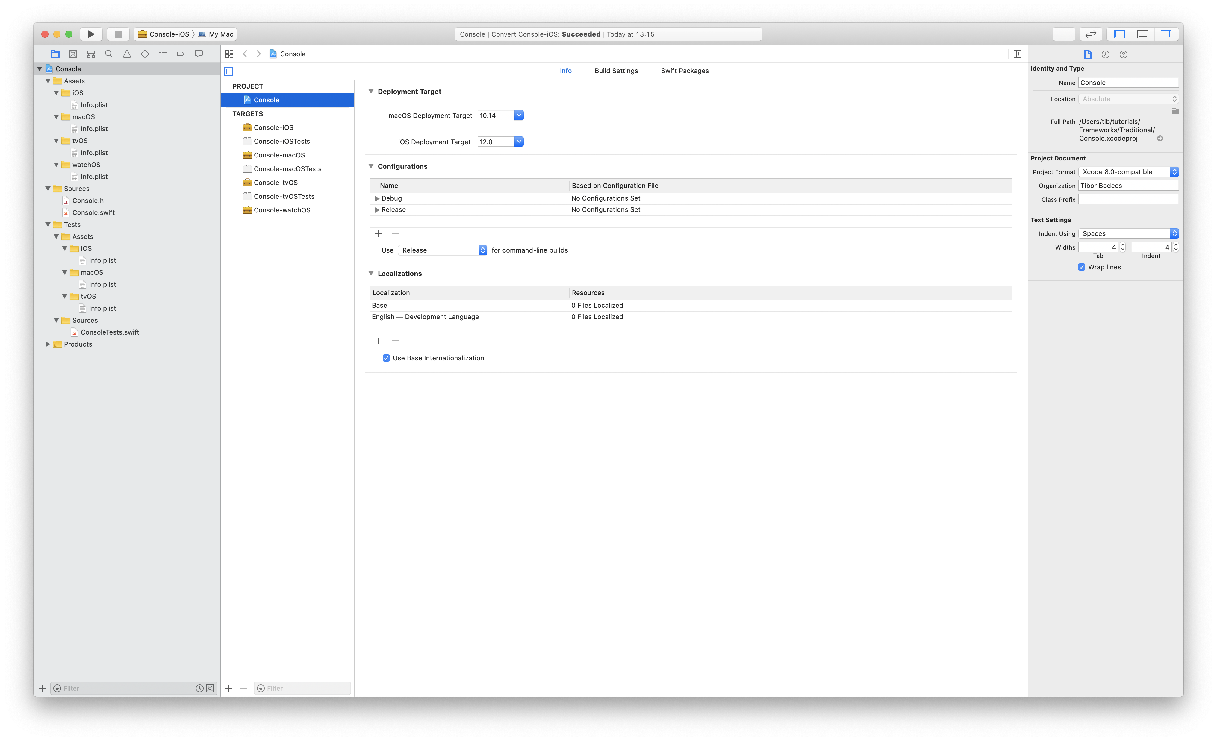 Xcode project framework setup